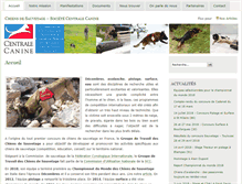 Tablet Screenshot of chiensdesauvetage.fr